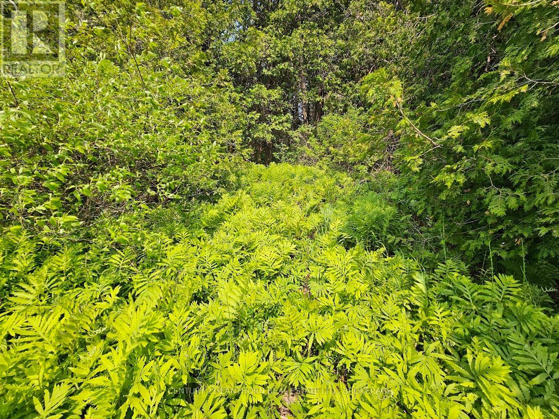 0000 Cedarstone Road W Property Photo 16