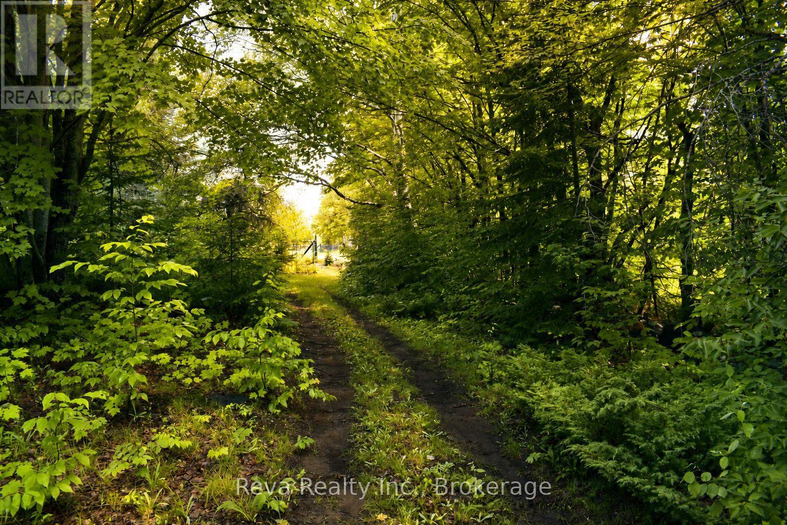 152 Hass Road Property Photo 39