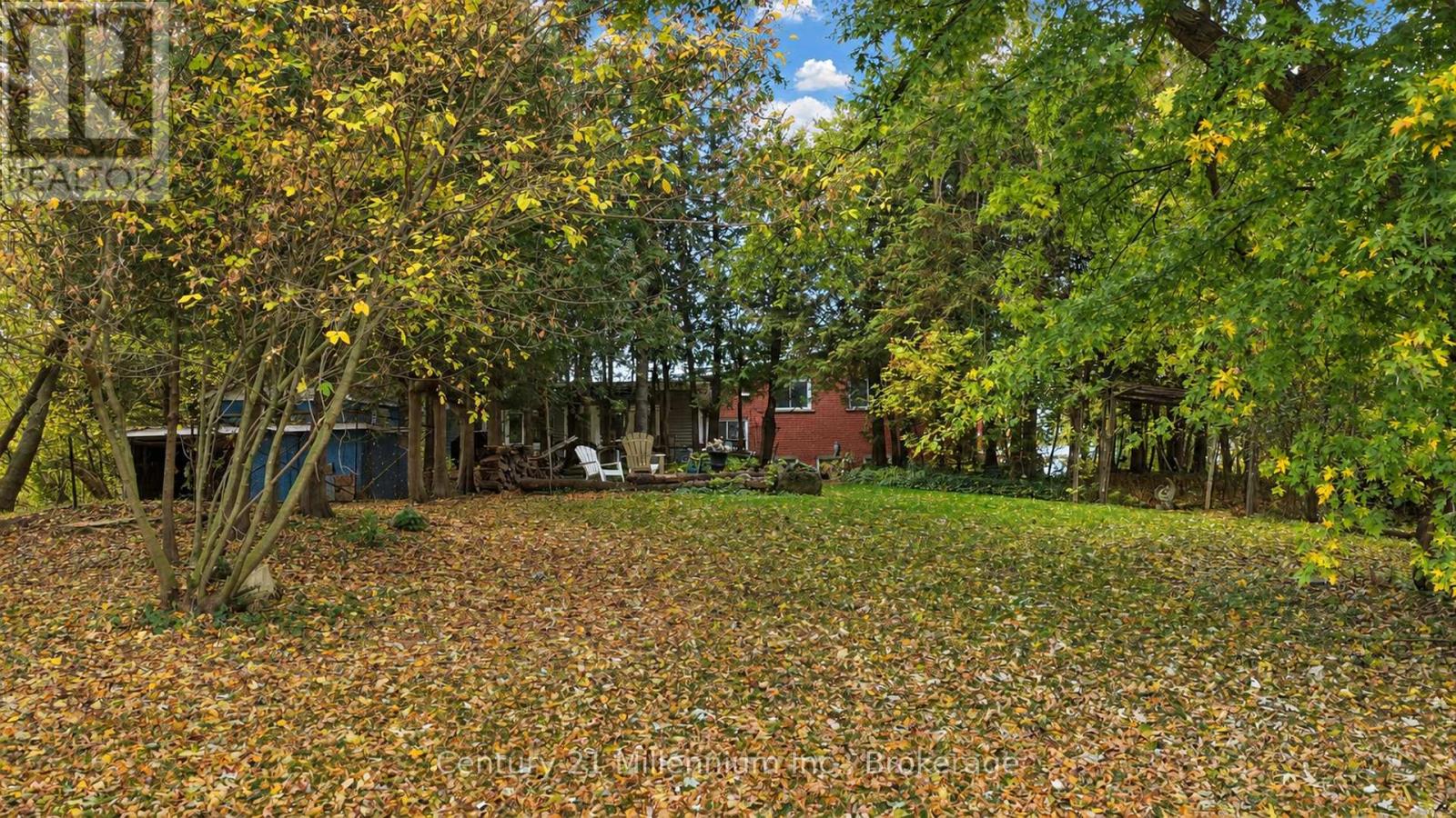 112197 Grey Road 3 Road N Property Photo 35
