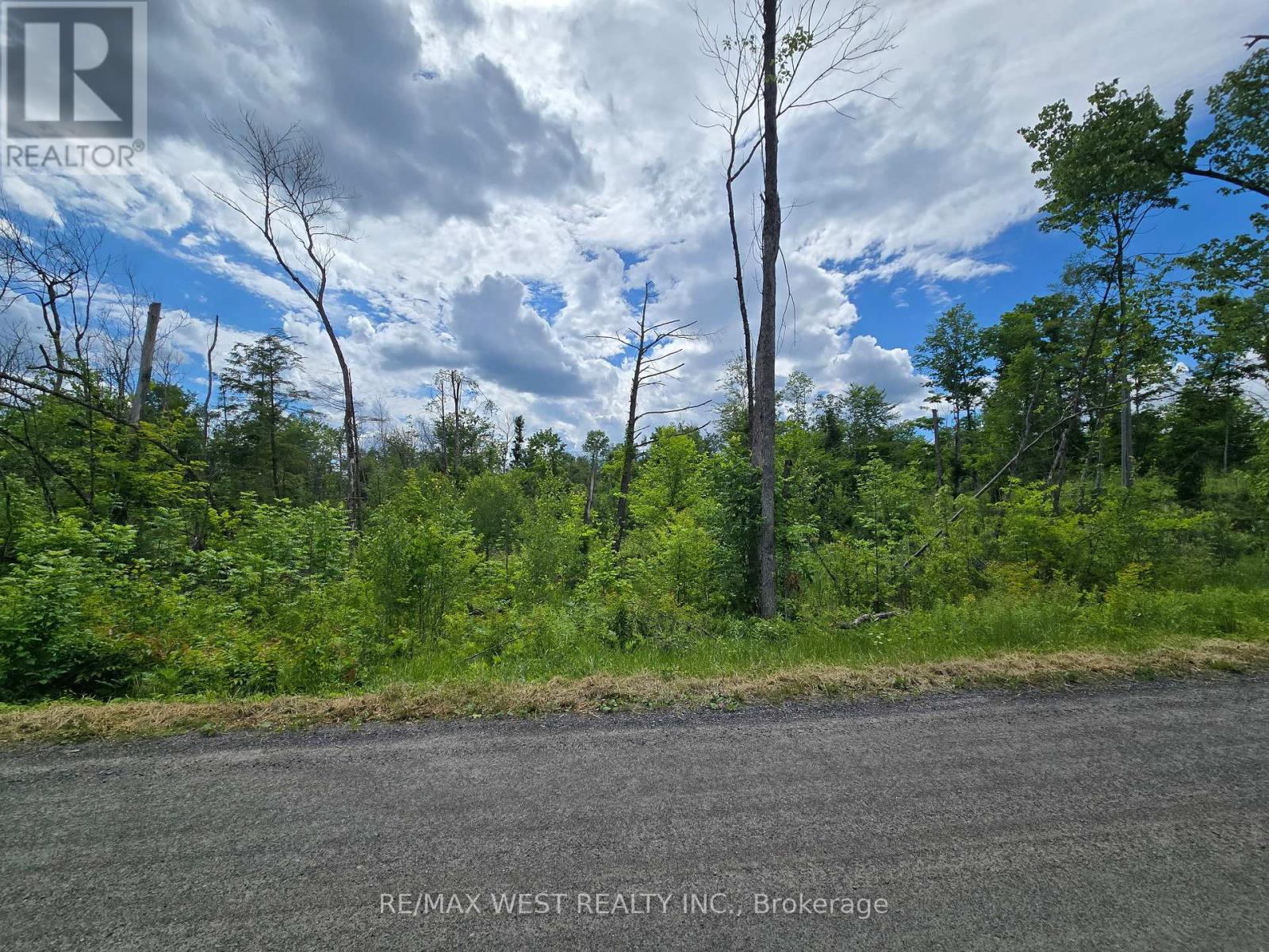 507 Black River Road Property Photo 5