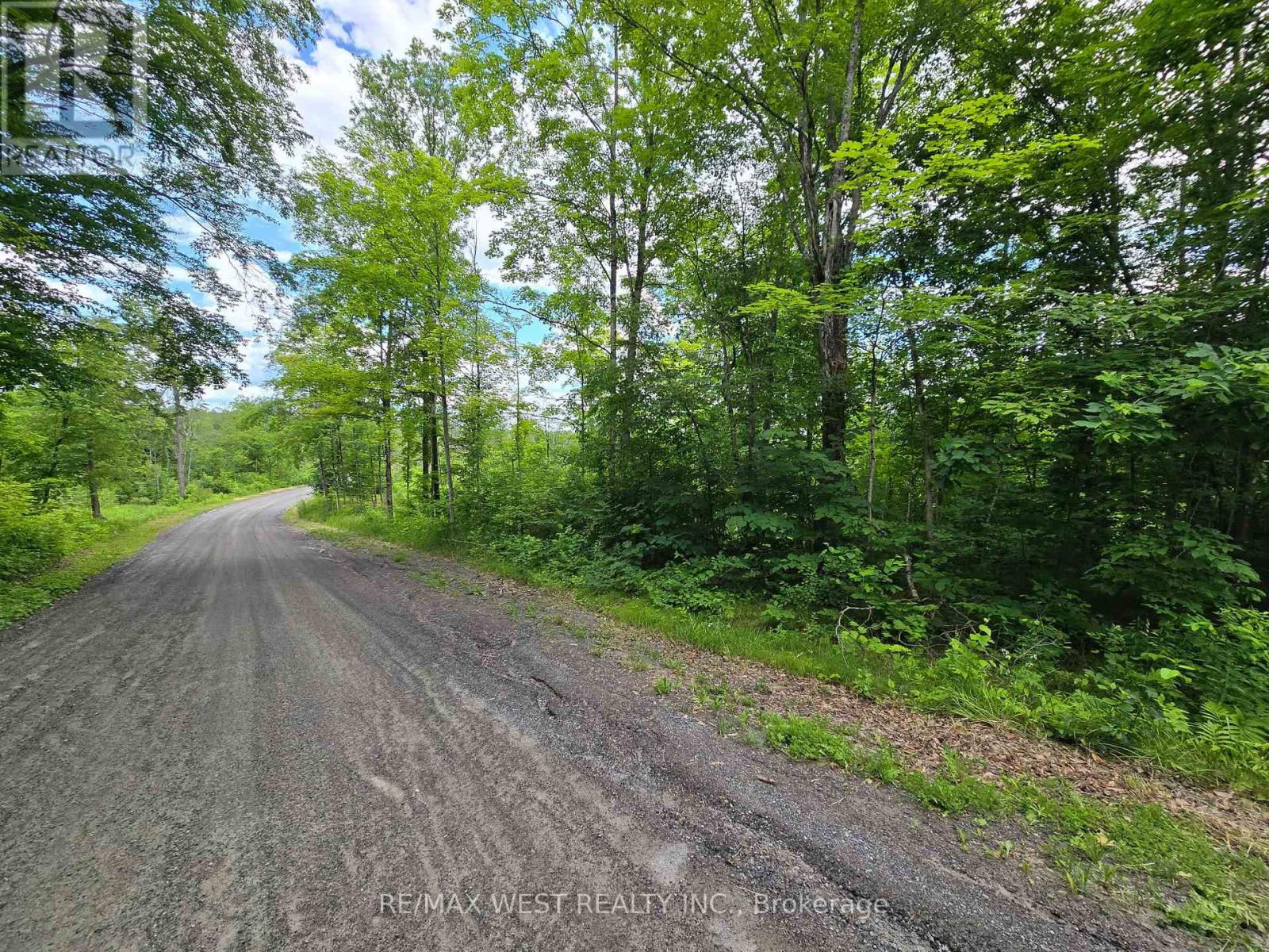 507 Black River Road Property Photo 7