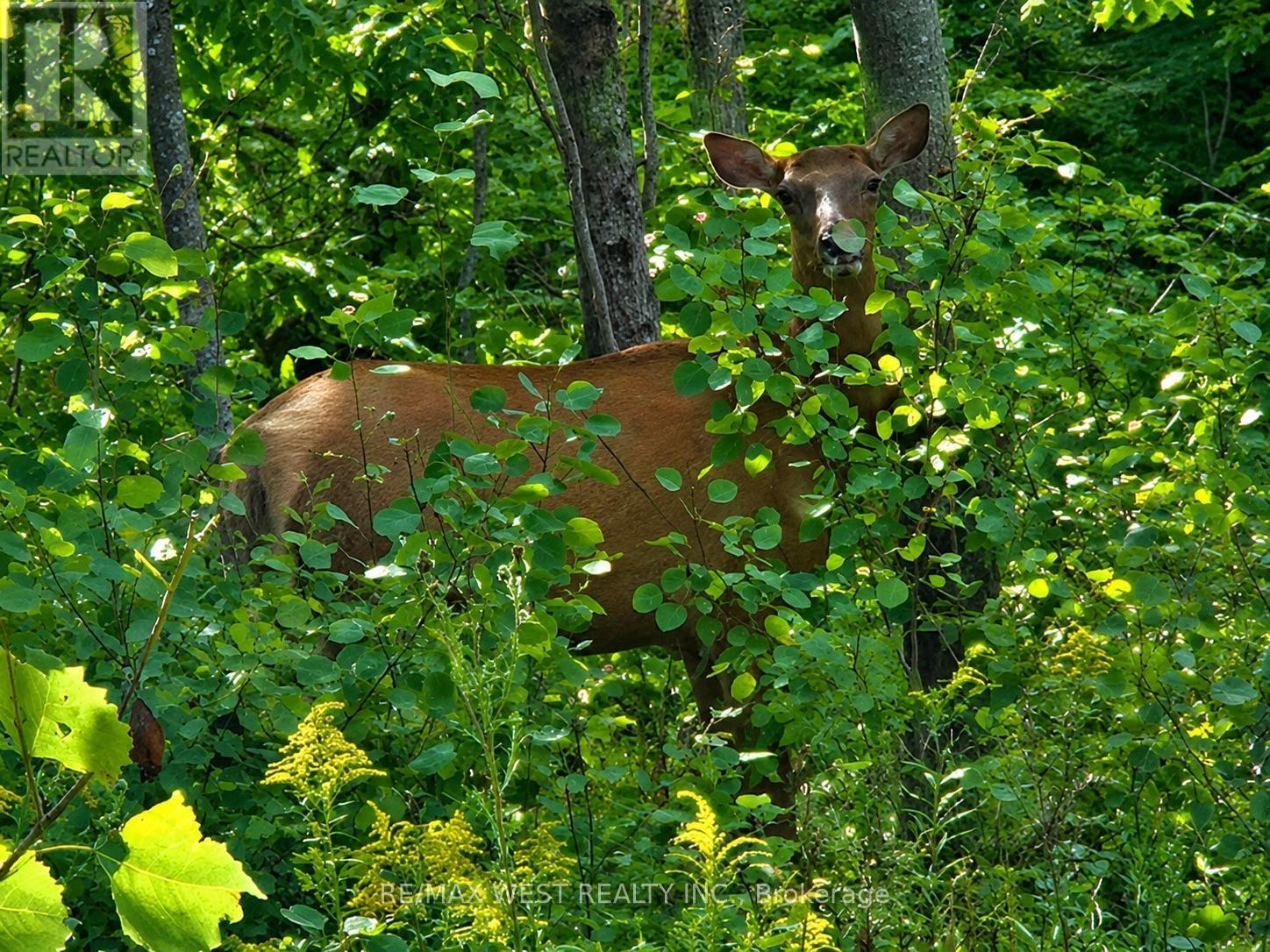 507 Black River Road Property Photo 8