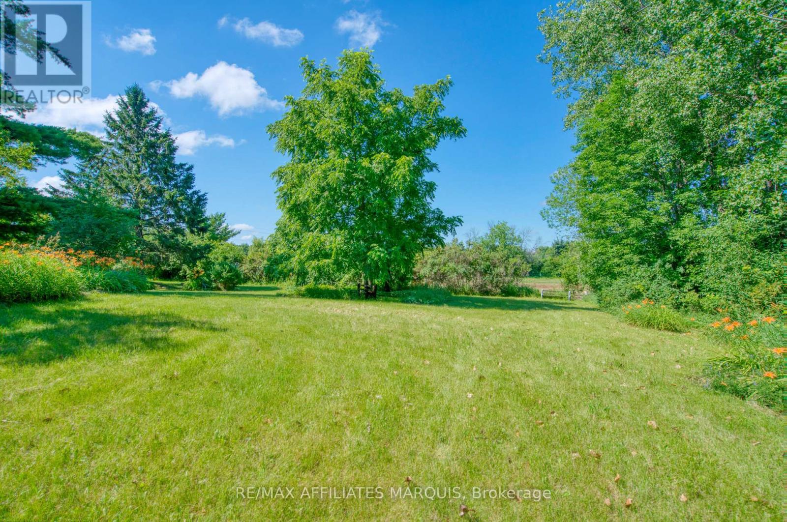 84 Bedford Street Property Photo 17