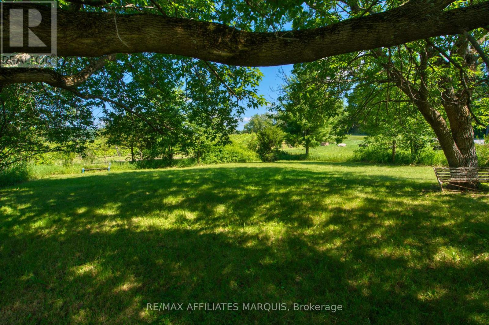 84 Bedford Street Property Photo 18