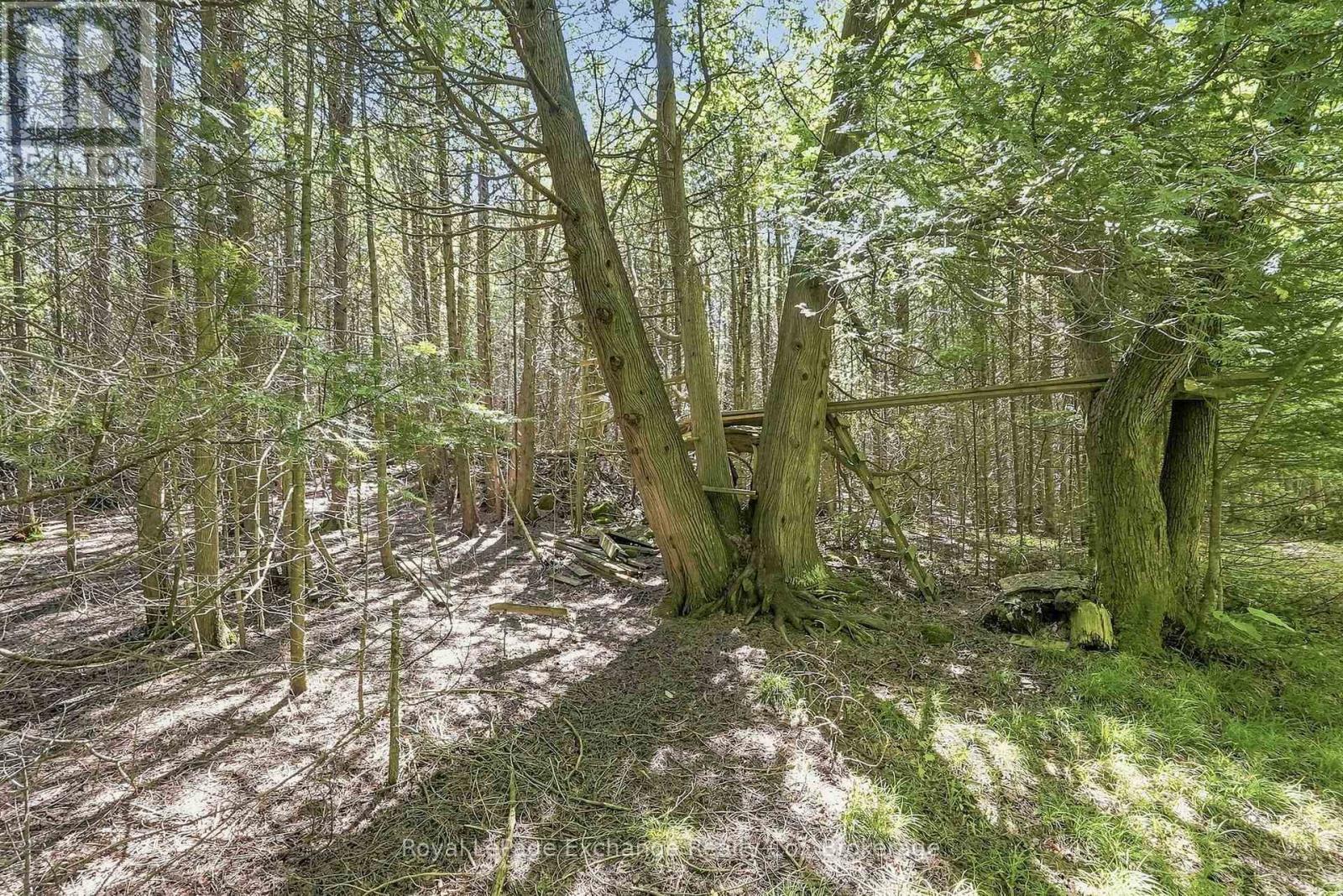 495144 Traverston Road Property Photo 29