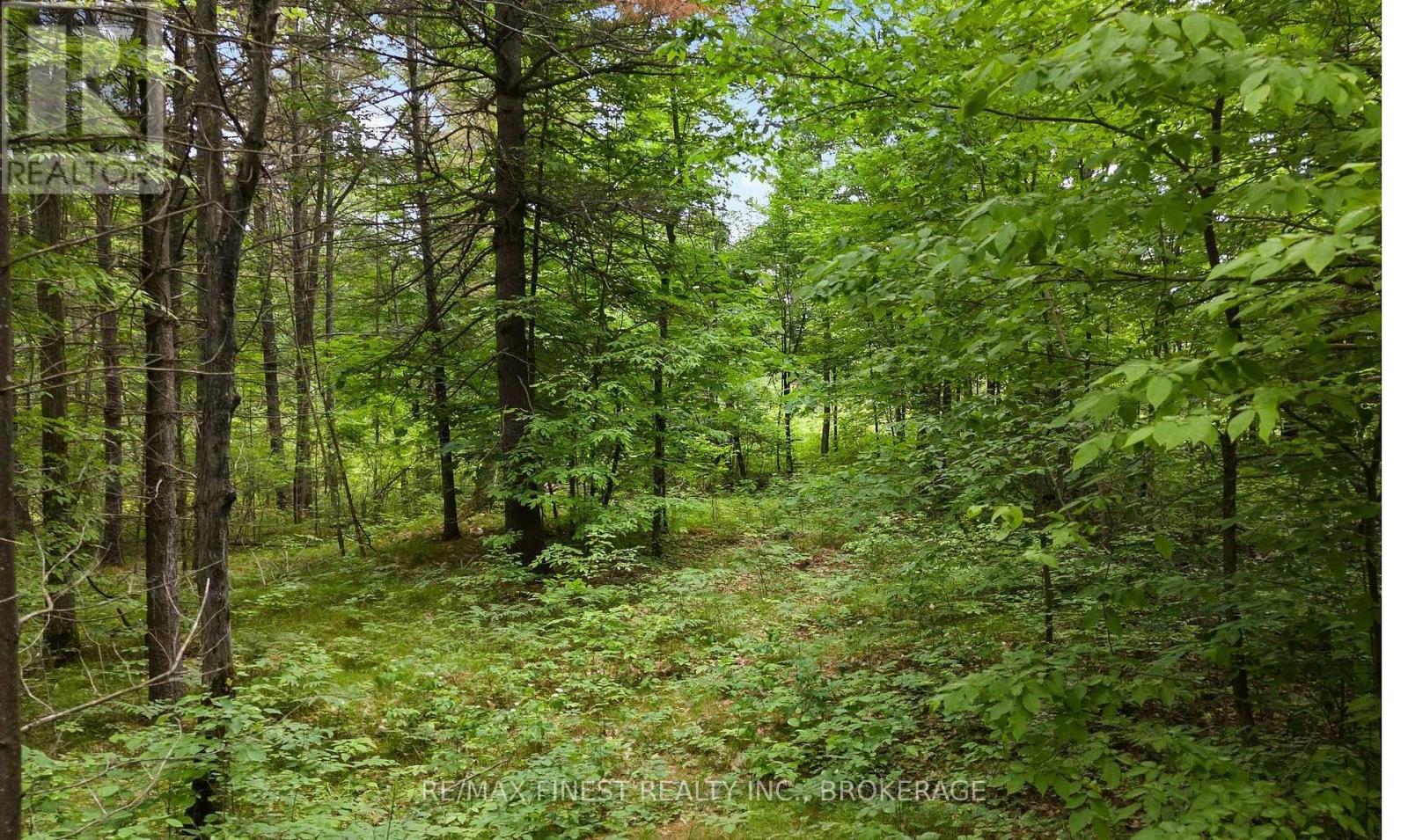 Lot 16 Echo Lake Road Property Photo 1