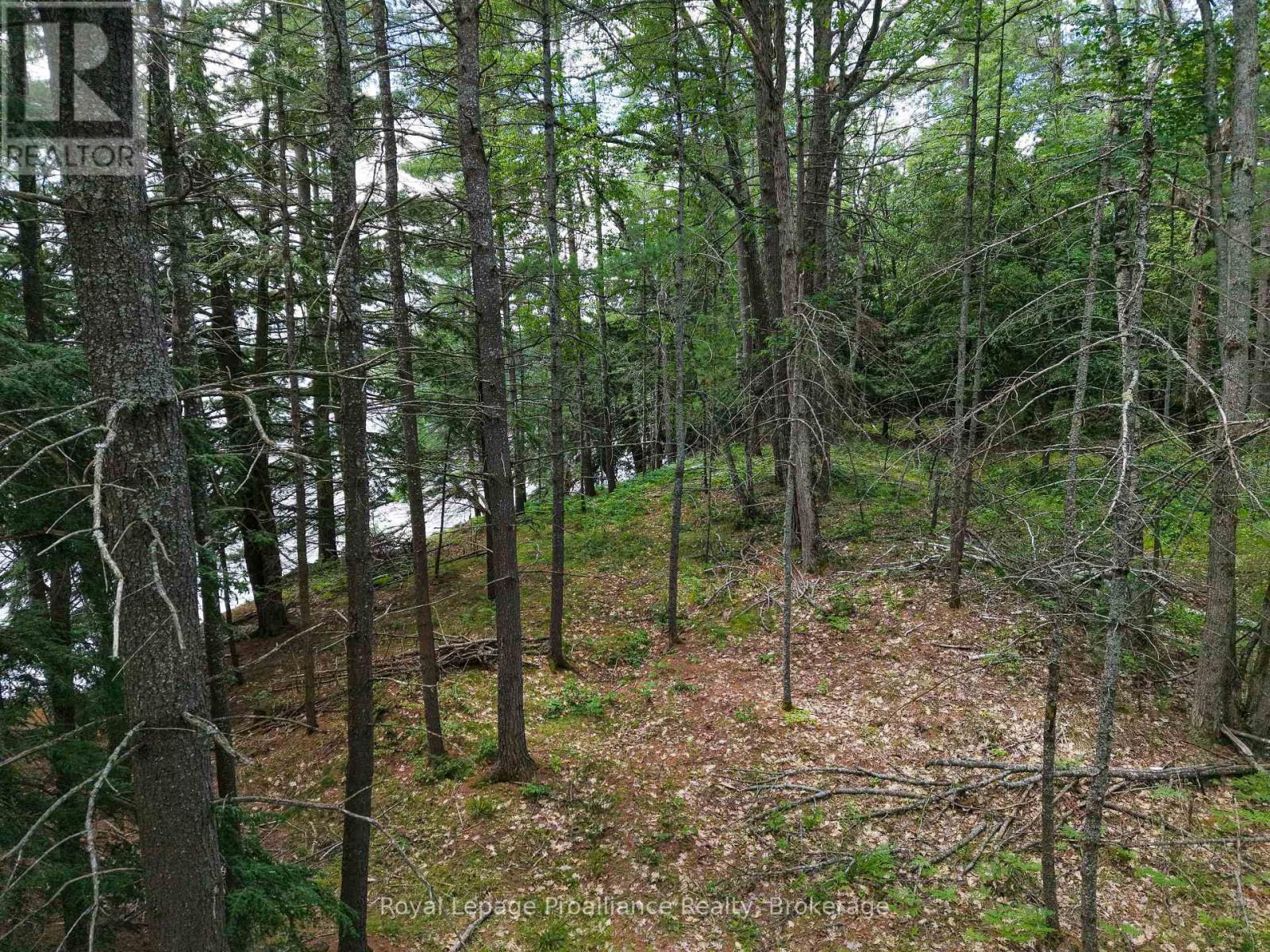 1 Wao Kasshabog Lake Property Photo 27