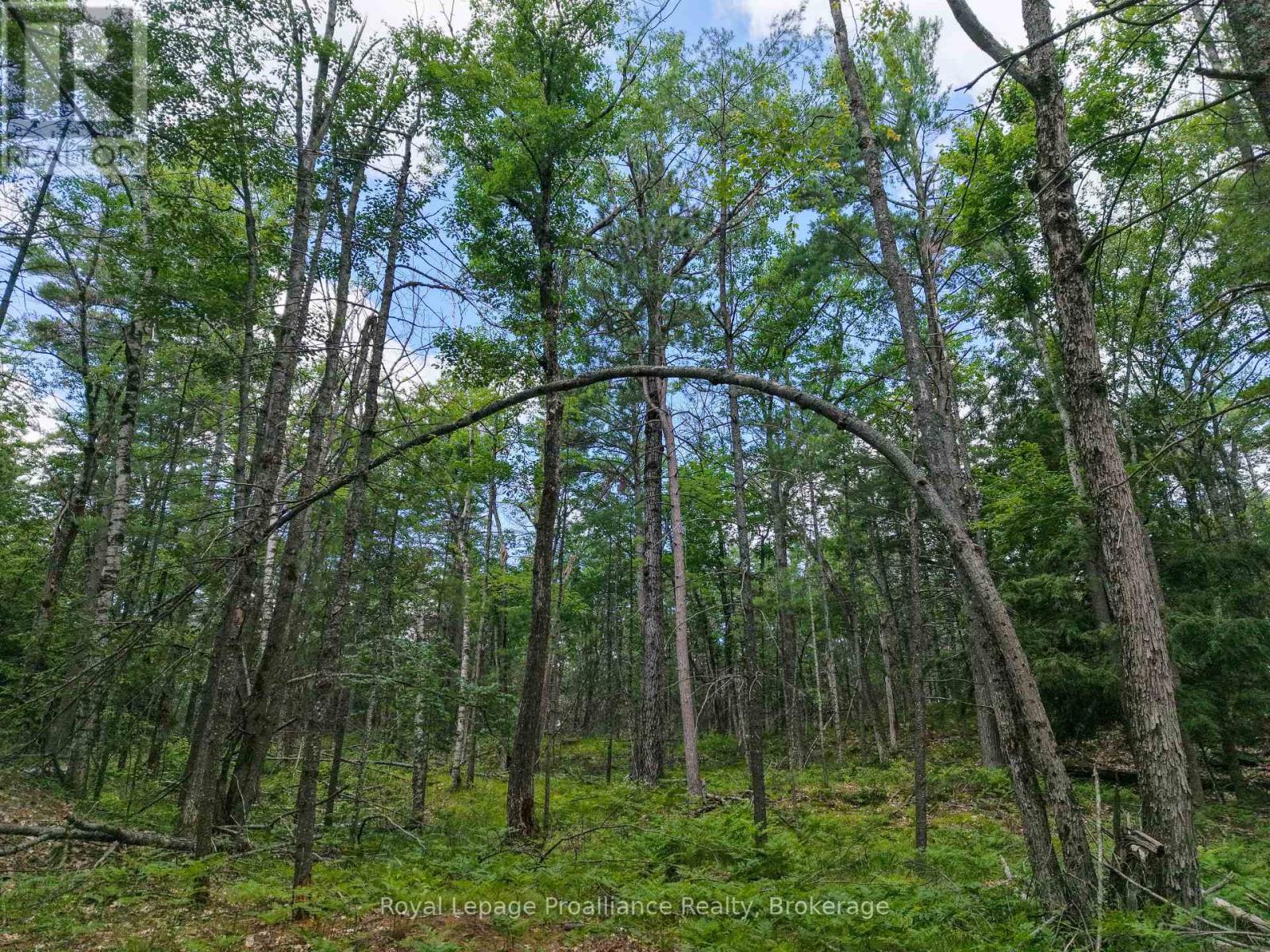 1 Wao Kasshabog Lake Property Photo 28