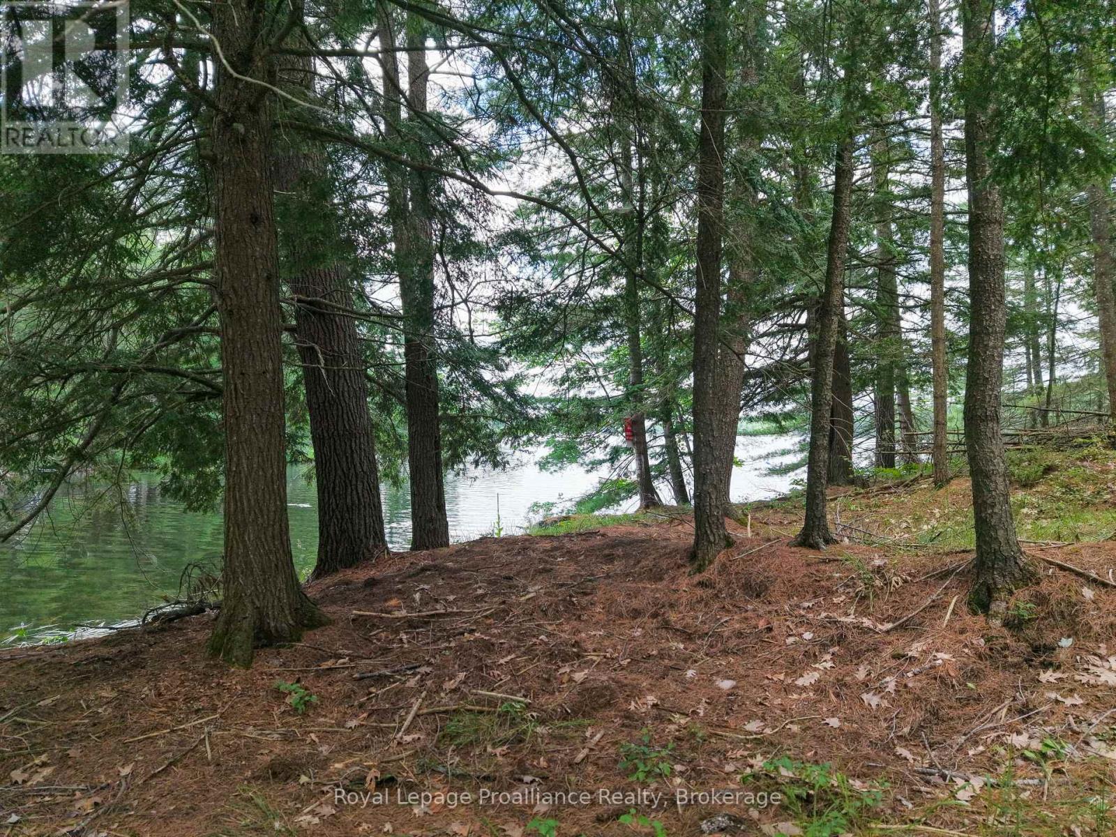 1 Wao Kasshabog Lake Property Photo 29