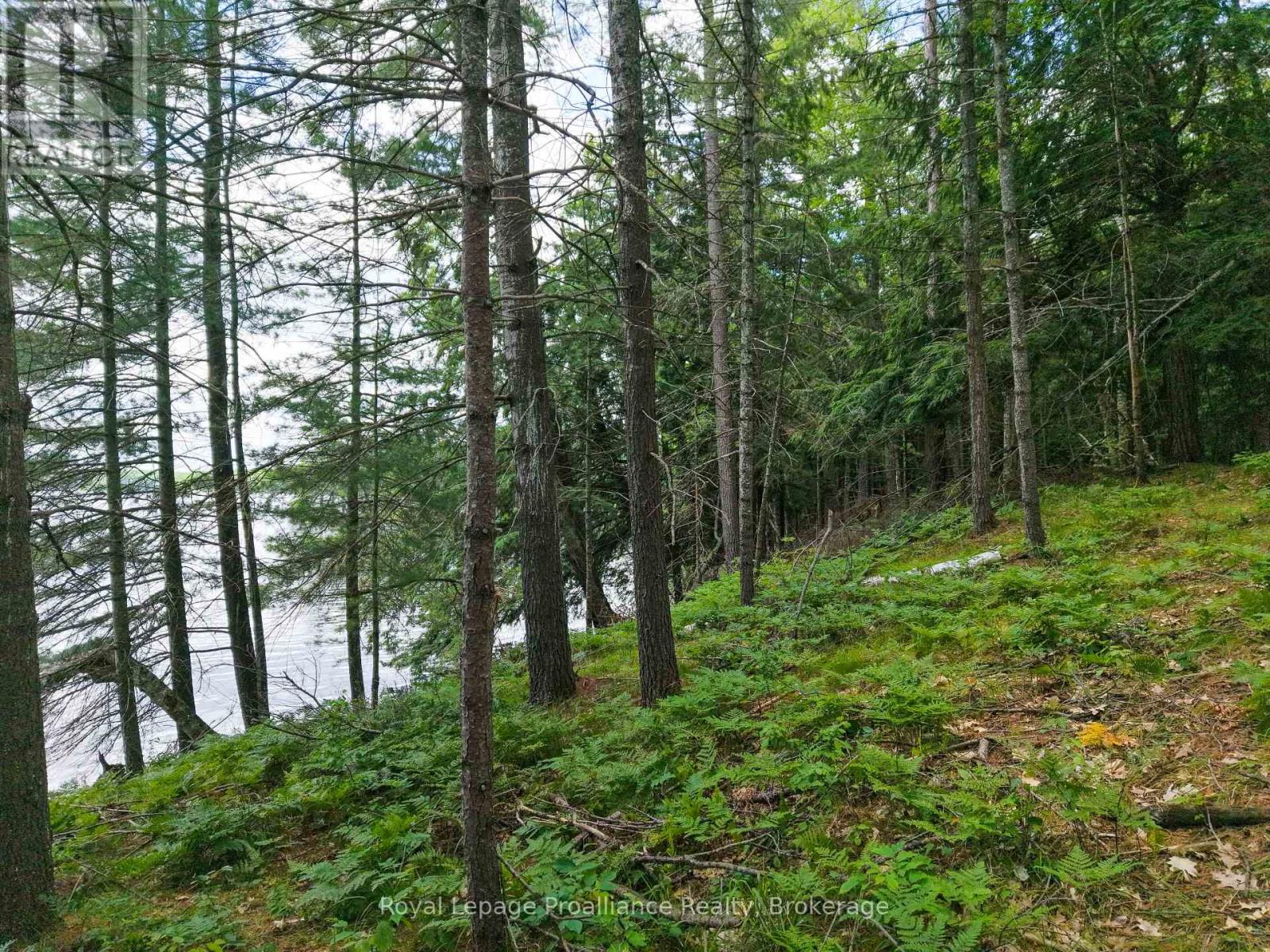 1 Wao Kasshabog Lake Property Photo 32