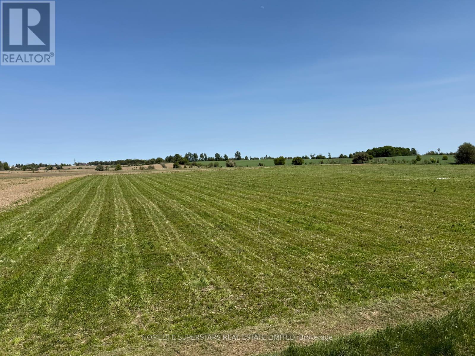 214131 10th Line Property Photo 3