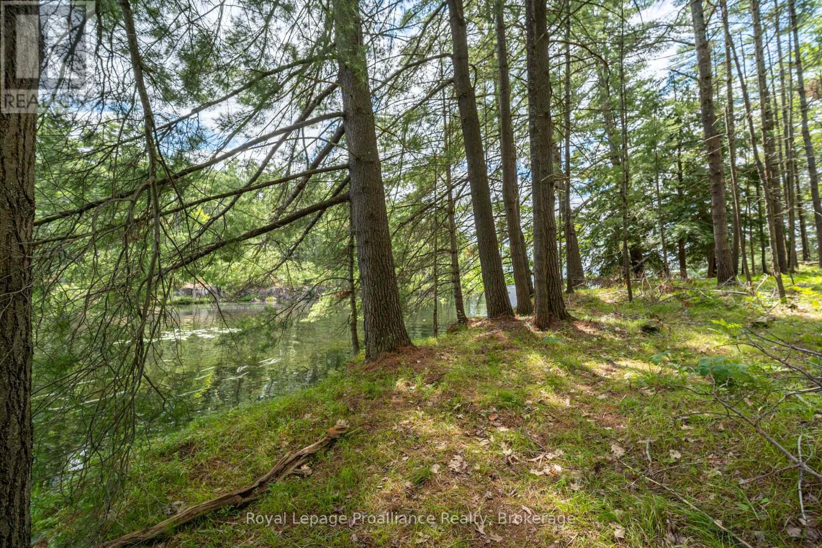 2 Wao Kasshabog Lake Property Photo 4