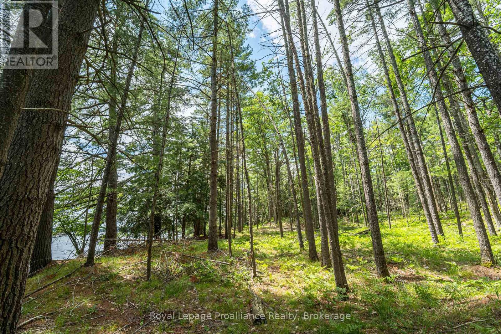 2 Wao Kasshabog Lake Property Photo 5