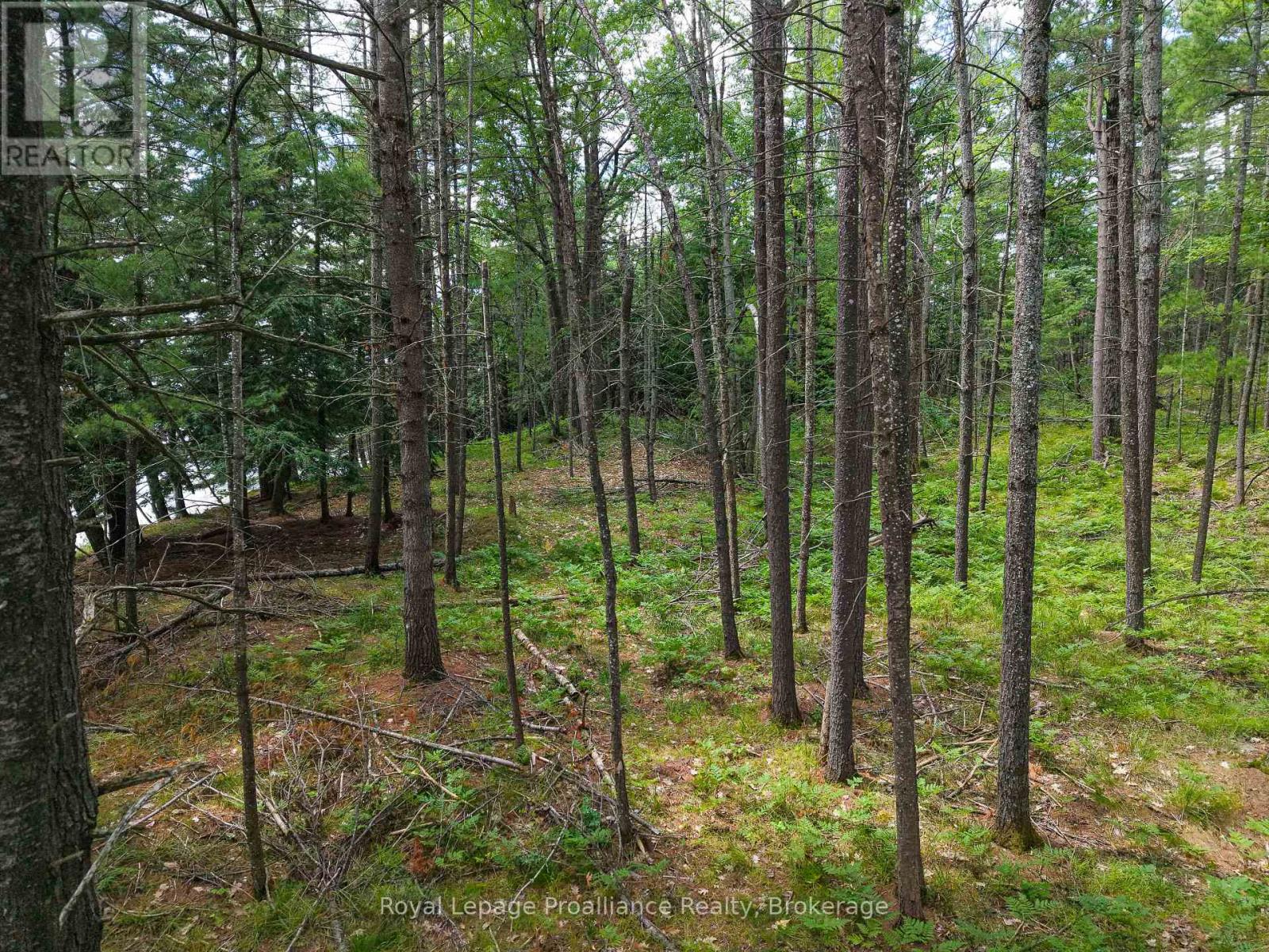 2 Wao Kasshabog Lake Property Photo 26