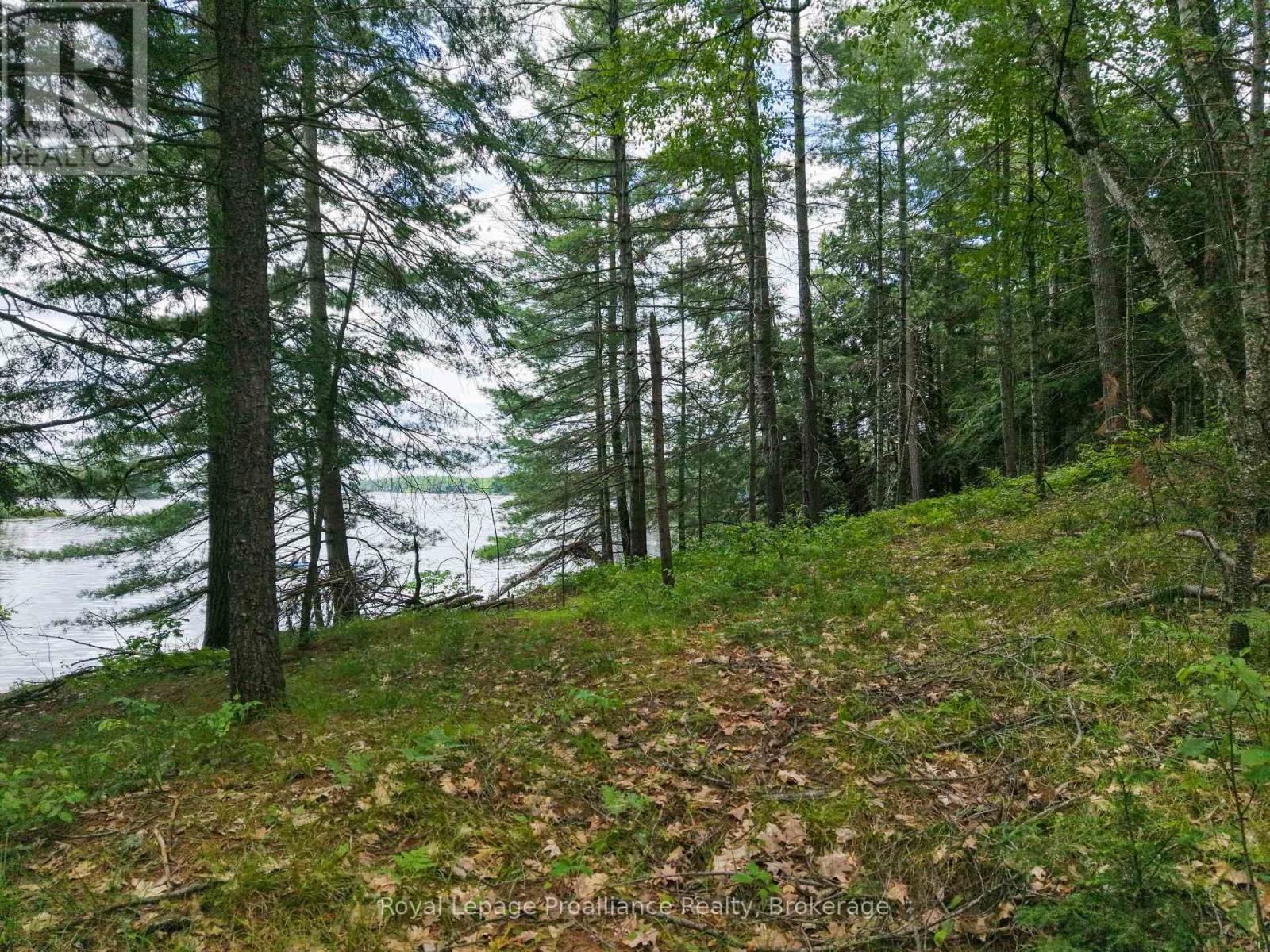 2 Wao Kasshabog Lake Property Photo 30
