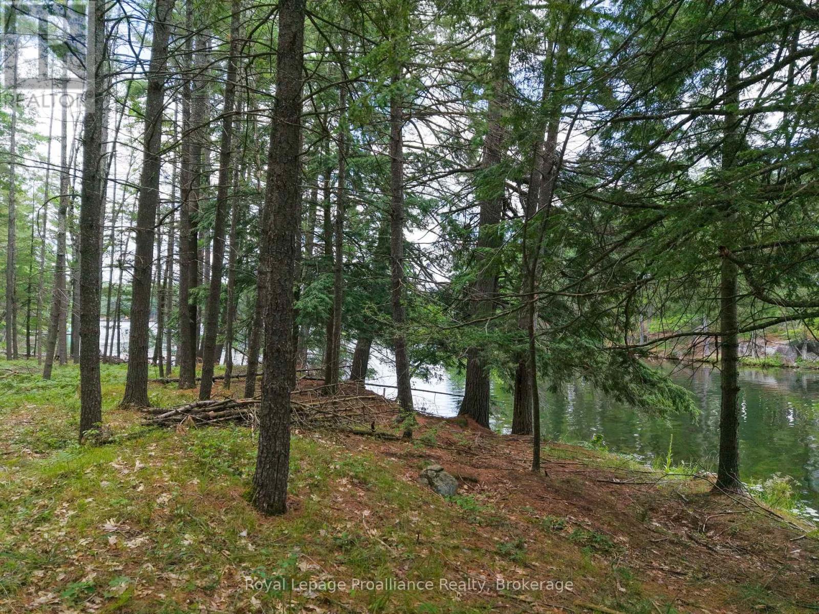 2 Wao Kasshabog Lake Property Photo 33