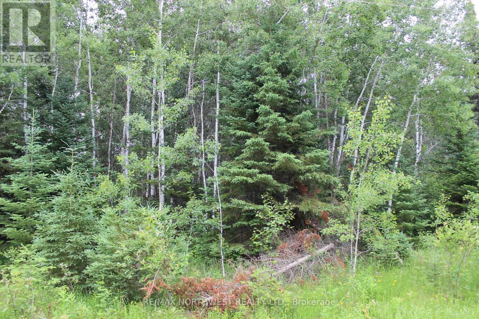 Pcl 9872 Hwy 619 Property Photo 8