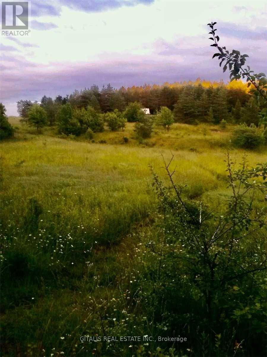 638212 St. Vincent-sydenham Line Property Photo 5