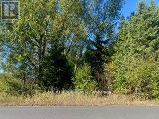 Lot Flagg Road Property Photo 6