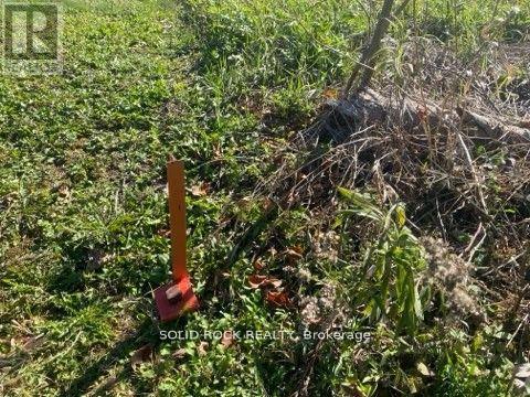 Lot Flagg Road Property Photo 11