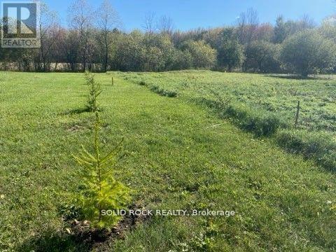 Lot Flagg Road Property Photo 12