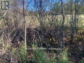 Lot Flagg Road Property Photo 17