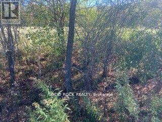 Lot Flagg Road Property Photo 18