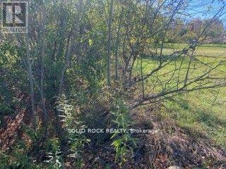 Lot Flagg Road Property Photo 19