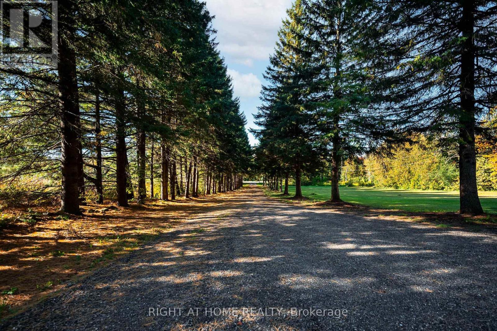 5609 4th Line Property Photo 3