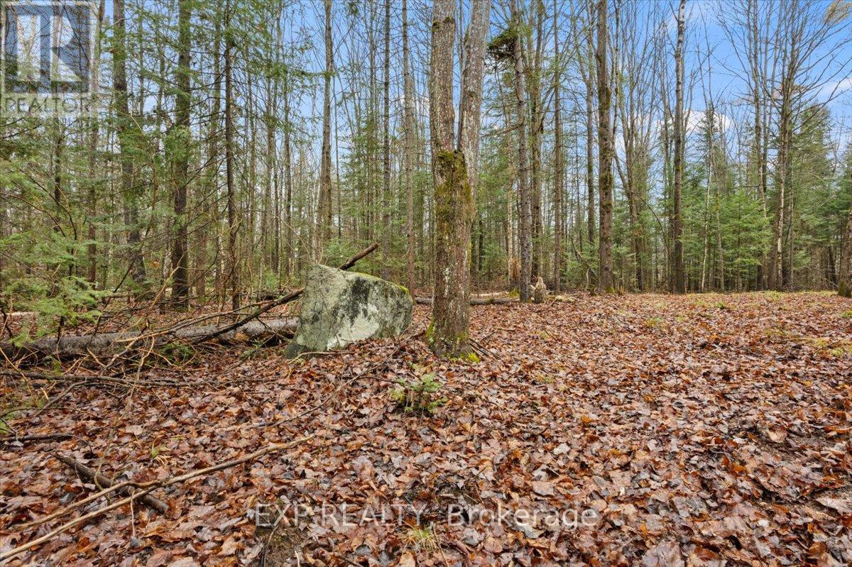 0 Gelert Road Property Photo 7