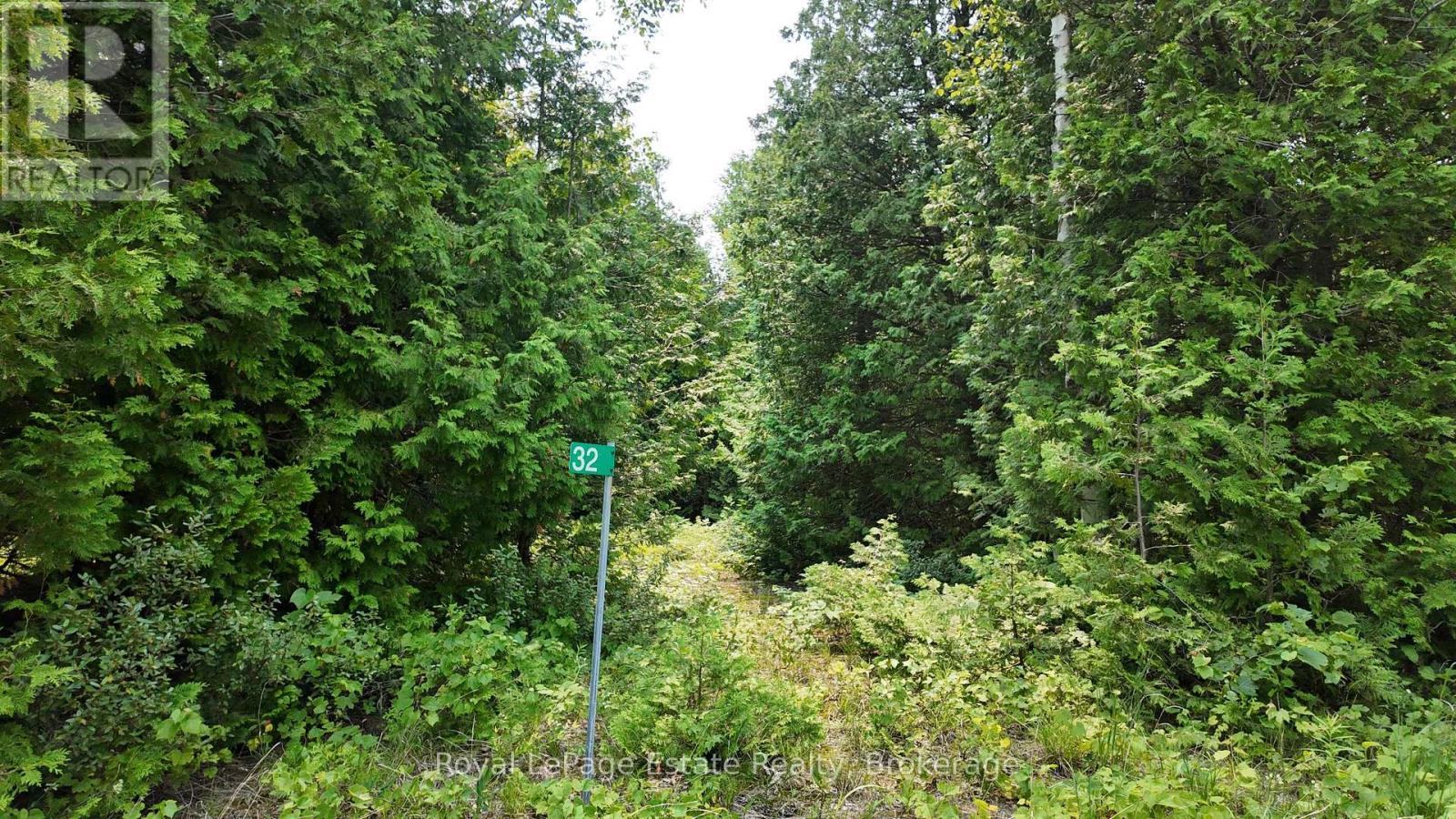 32 Telford Street Property Photo 2
