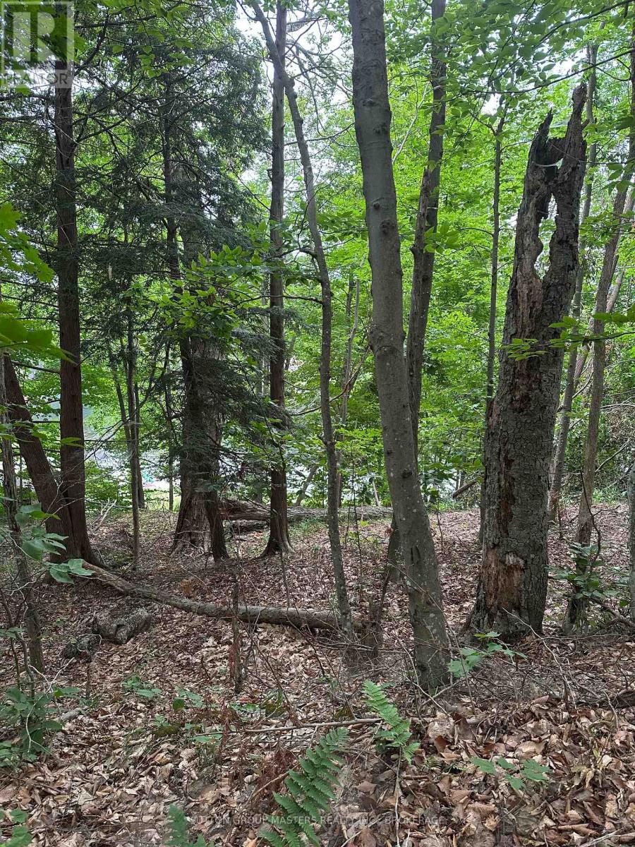 0 Silver Rock Lane Property Photo 1