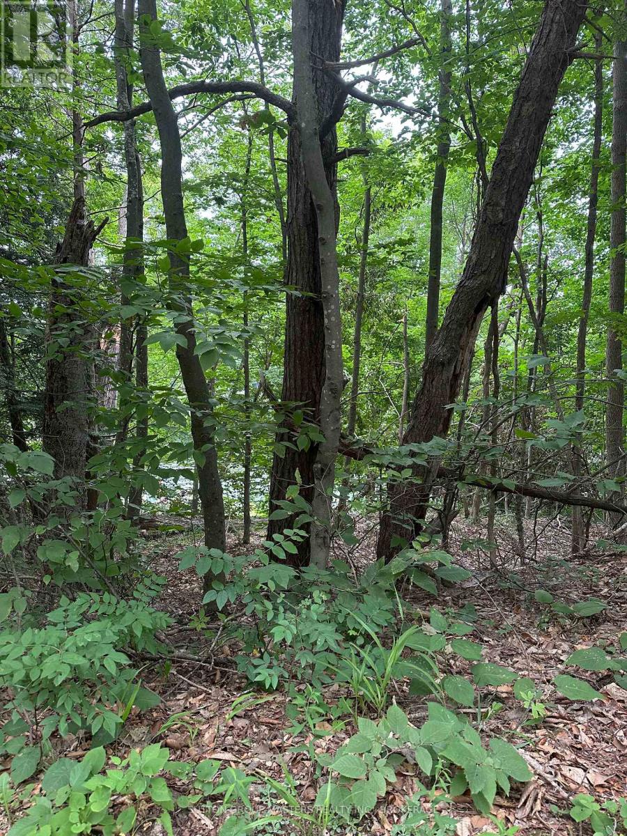 0 Silver Rock Lane Property Photo 2