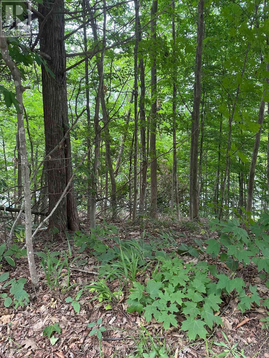 0 Silver Rock Lane Property Photo 3