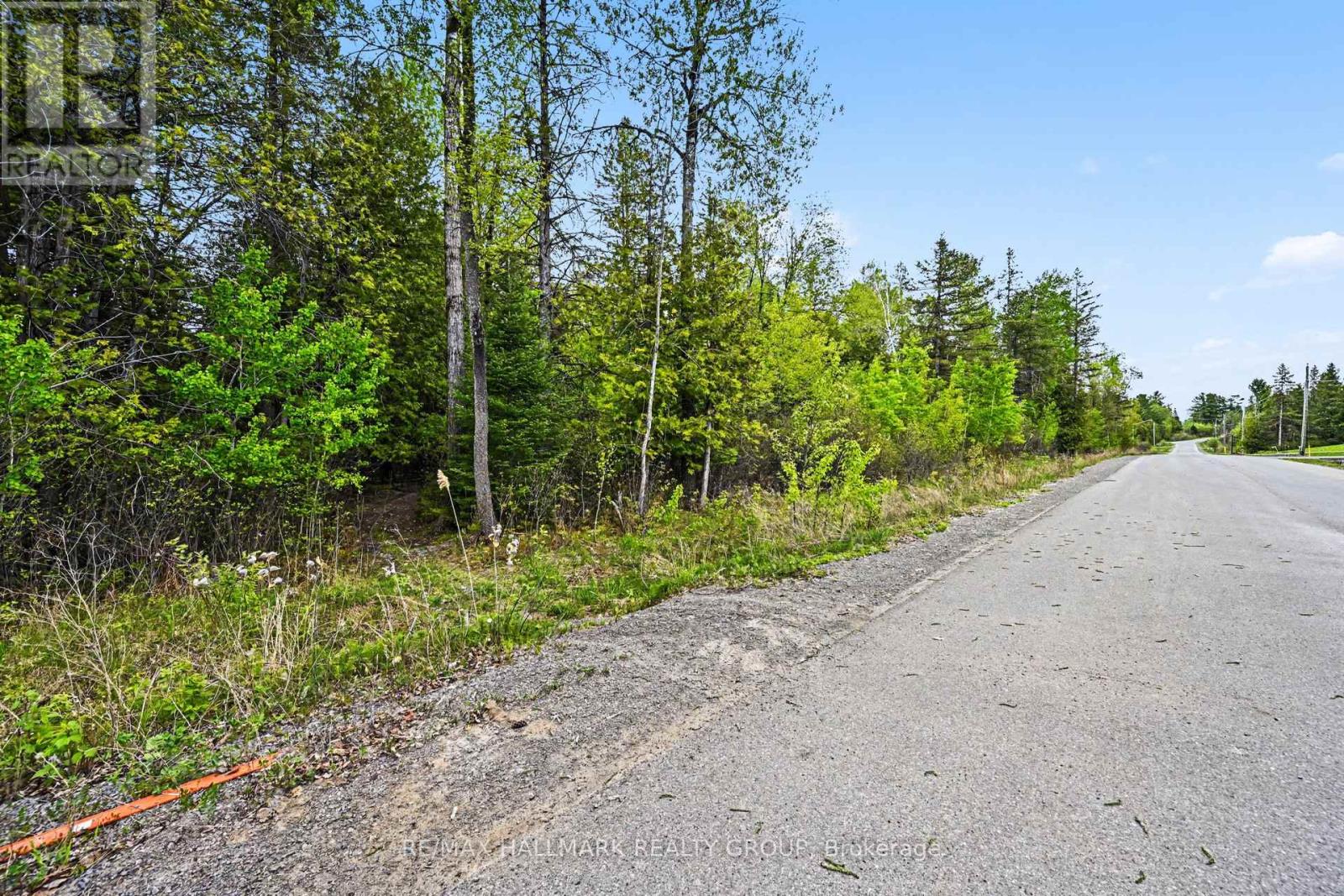 1999 Forest Edge Road Property Photo 14