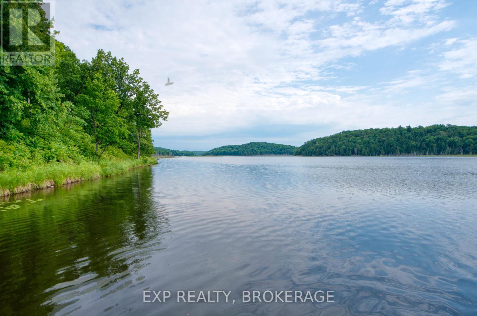 1427 Lewis Road Property Photo 42