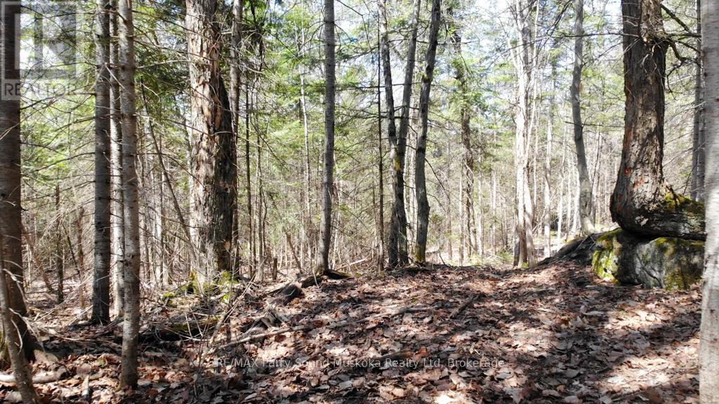 1025 520n Highway Property Photo 5