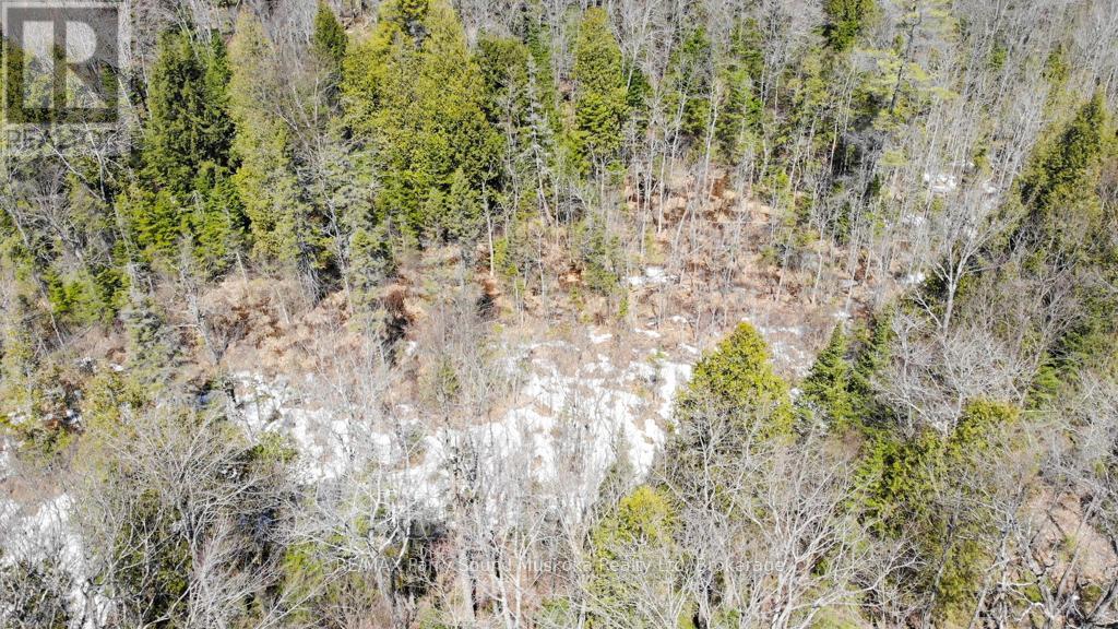 1025 520n Highway Property Photo 16