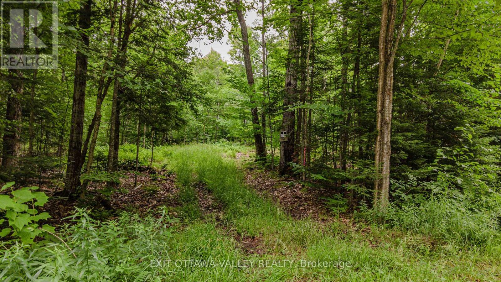 0 Peplinskie Road Property Photo 2