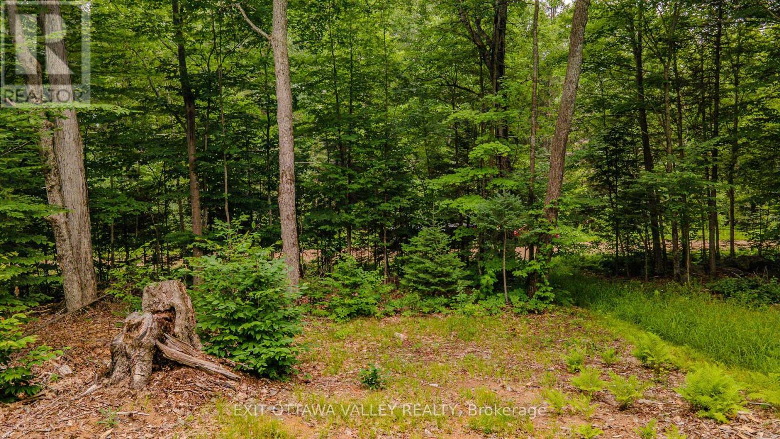 0 Peplinskie Road Property Photo 6
