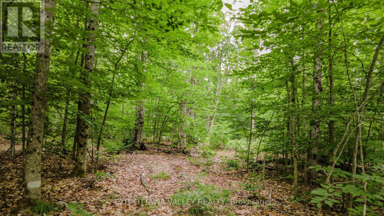 0 Peplinskie Road Property Photo 10