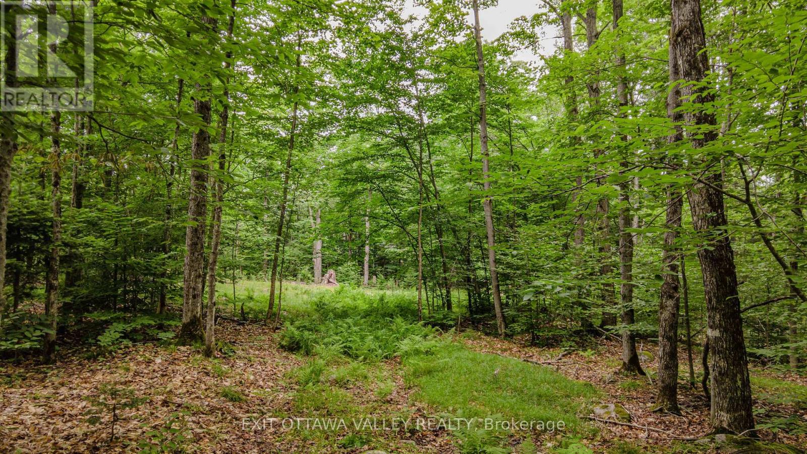 0 Peplinskie Road Property Photo 14