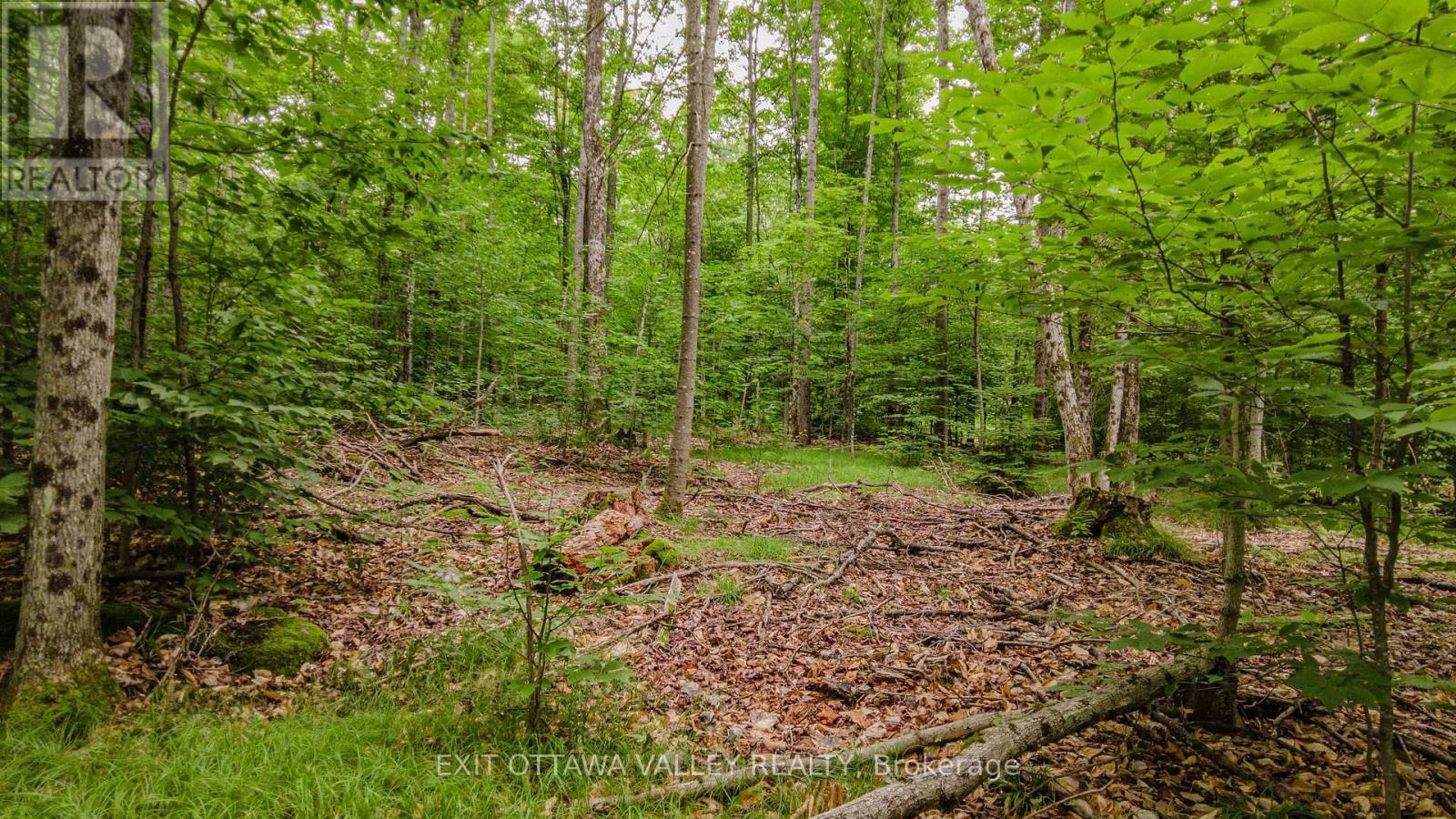0 Peplinskie Road Property Photo 15