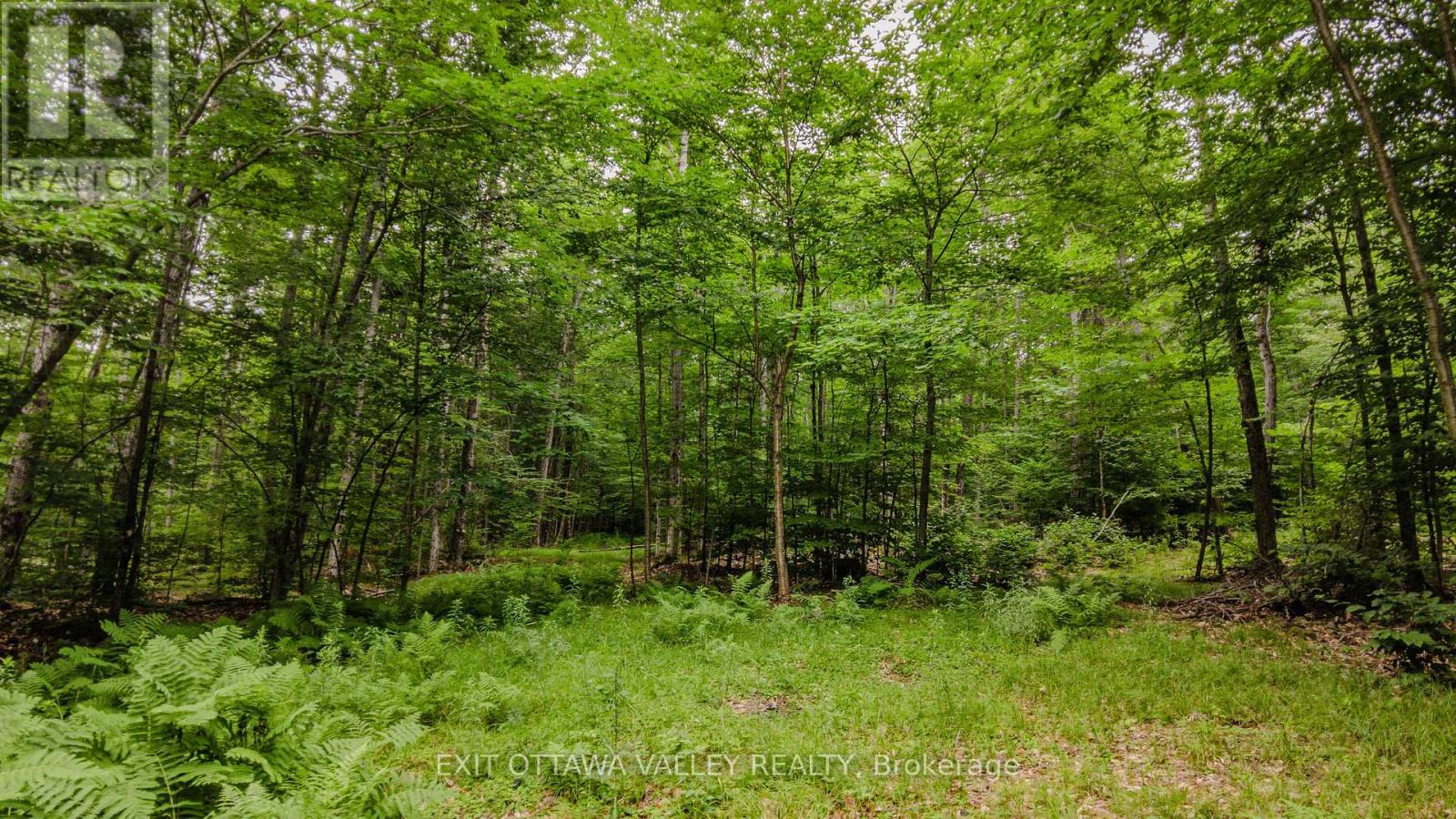 0 Peplinskie Road Property Photo 16