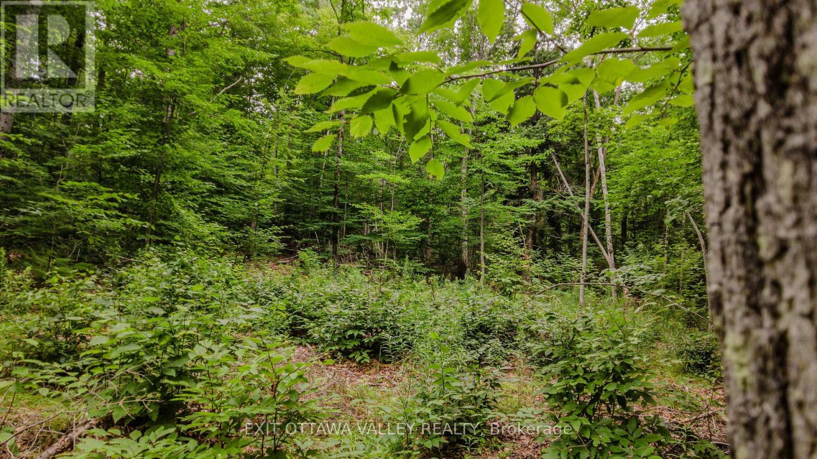 0 Peplinskie Road Property Photo 17