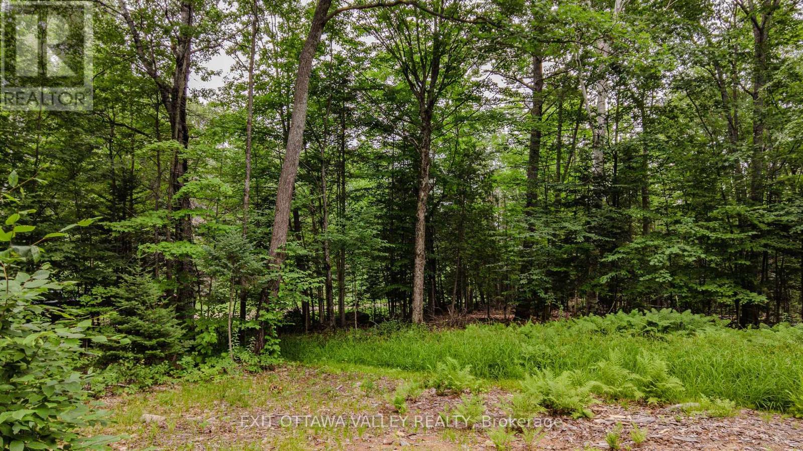 0 Peplinskie Road Property Photo 18