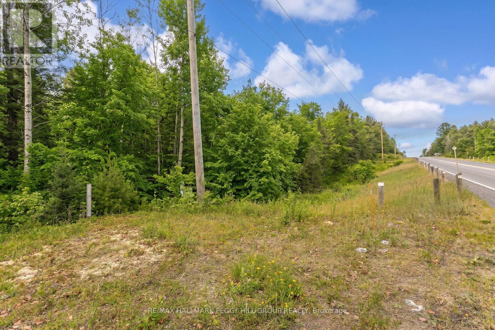 0 County Road 121 Property Photo 3