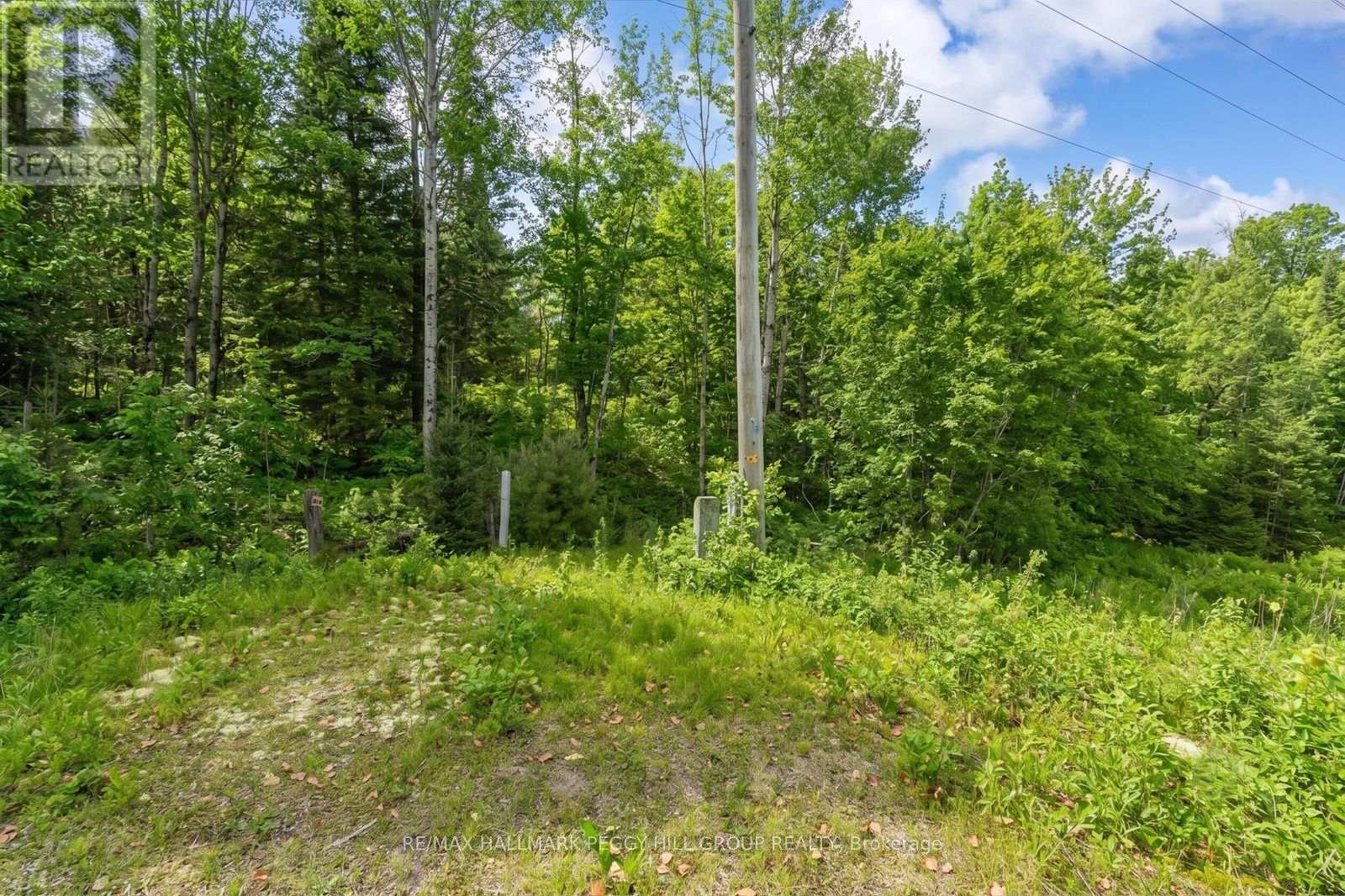 0 County Road 121 Property Photo 4