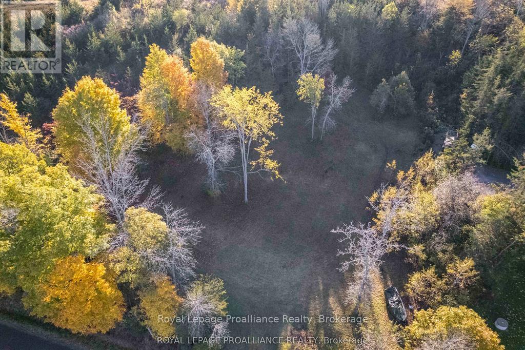 863 Gunter Settlement Road Property Photo 5