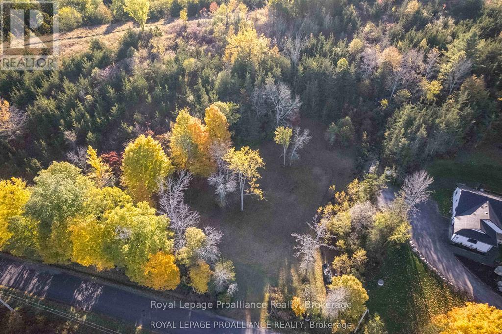 863 Gunter Settlement Road Property Photo 6